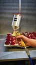 Pistolet SATAjet1000 B RP Pastry Edition - Buse 1.4 